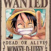 アニメonepiece ワンピース テレビアニメスペシャル1 あらすじ ルフィ落下 秘境 海のヘソの大冒険 Youtube