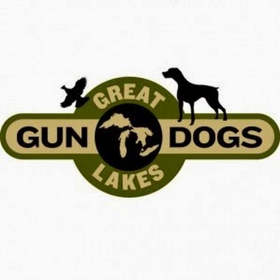 Great Lakes Gun Dogs ইউটিউব চ্যানেল অ্যাভাটার