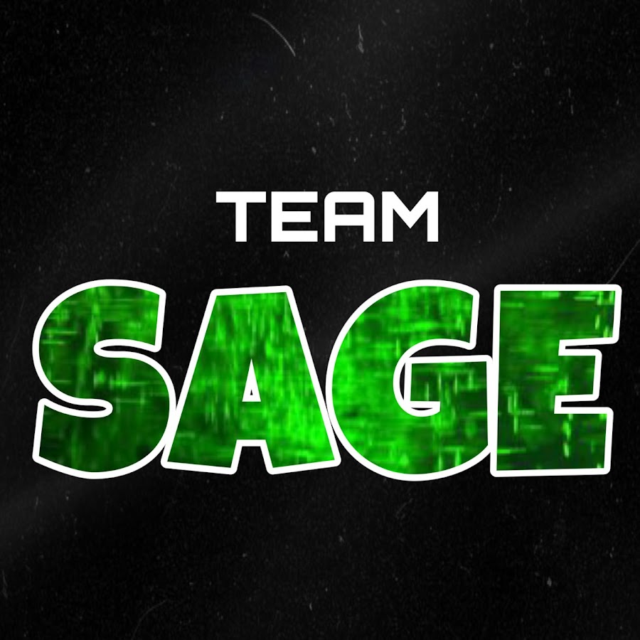 Team SaGe Avatar canale YouTube 