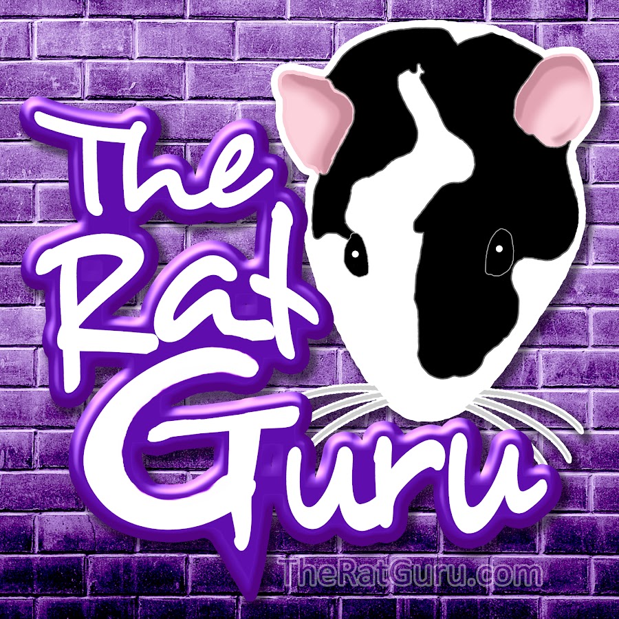 The Rat Guru YouTube channel avatar