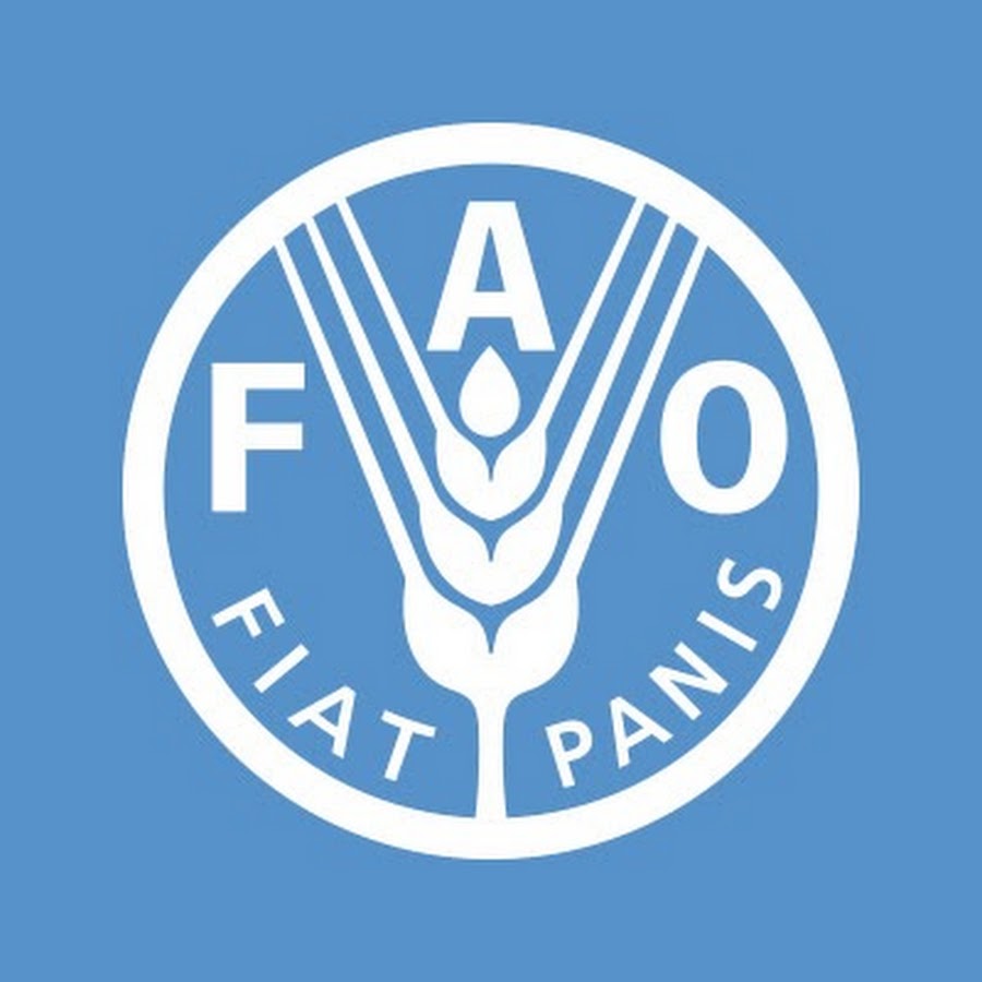 Food and Agriculture Organization of the United Nations ইউটিউব চ্যানেল অ্যাভাটার
