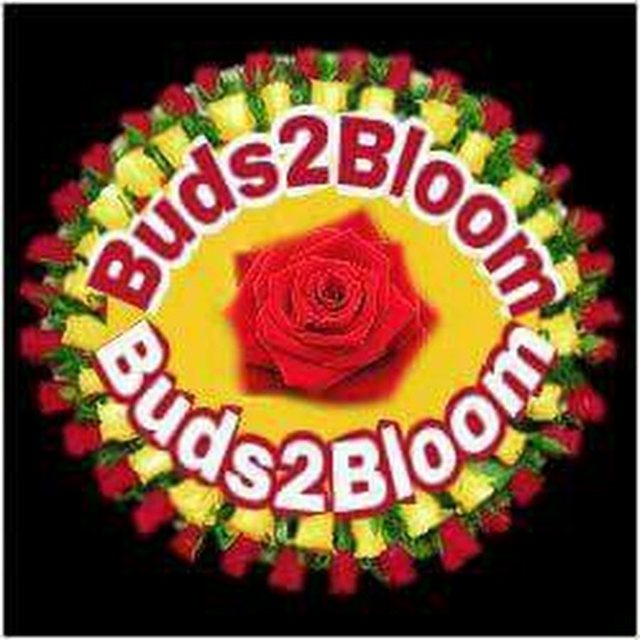 Buds 2 Bloom YouTube channel avatar