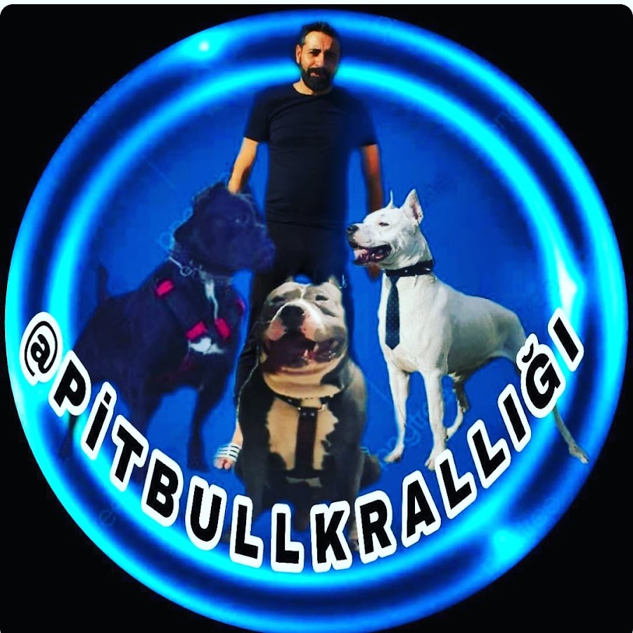 Pitbull krallÄ±ÄŸÄ± TÃœRKÄ°YE ইউটিউব চ্যানেল অ্যাভাটার