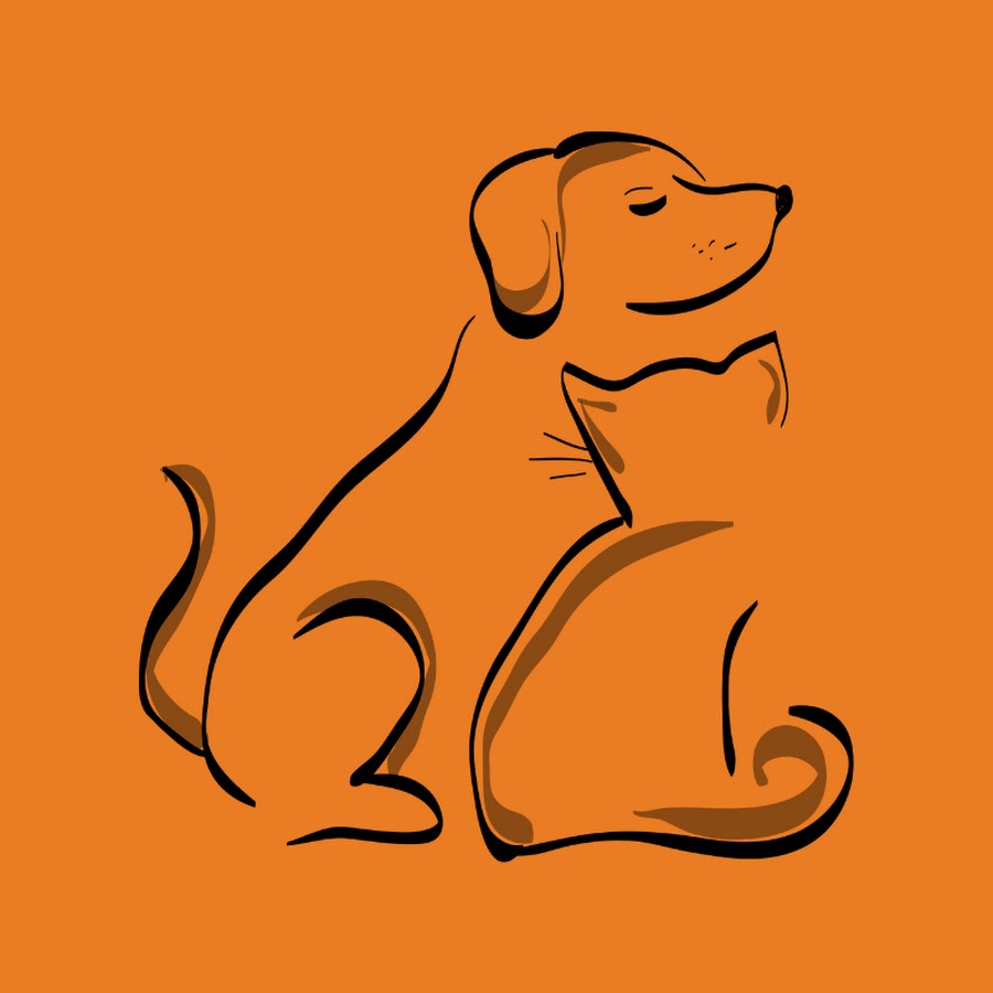 Inspirational Animals Youtube