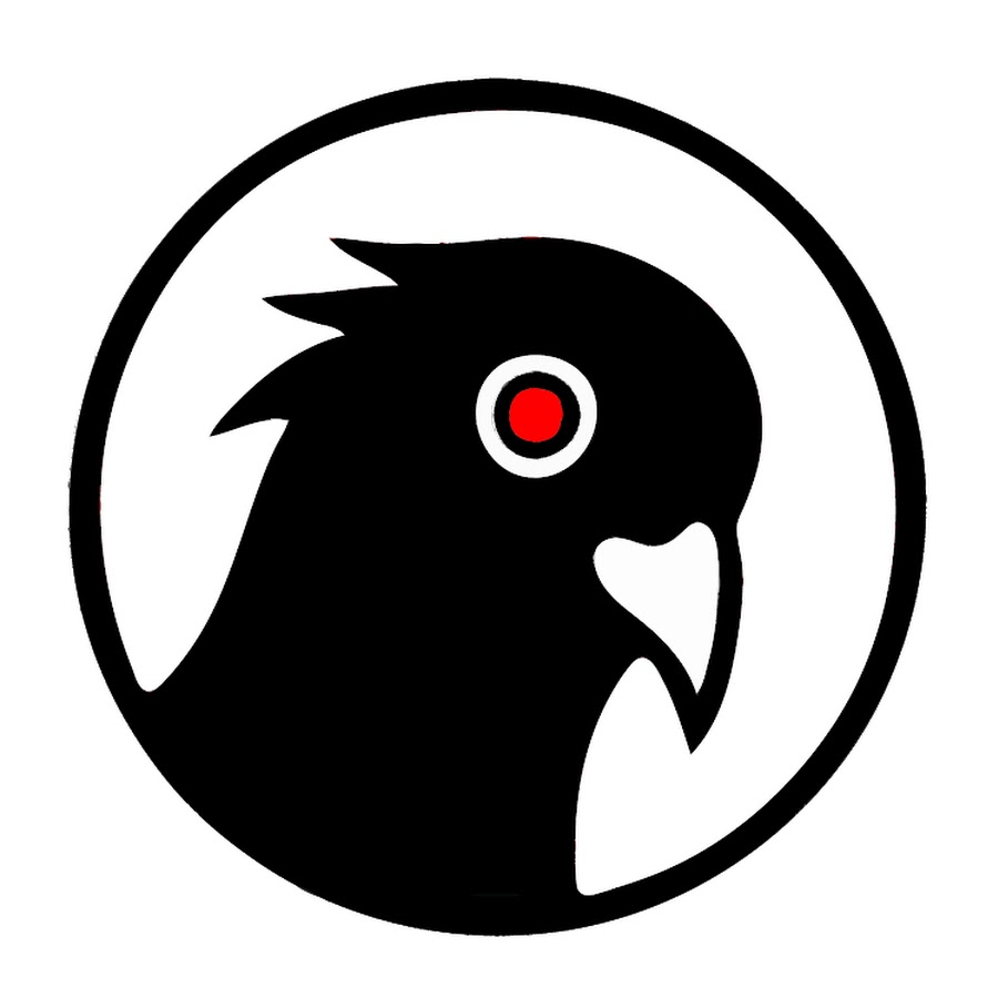Black Pigeon Speaks YouTube channel avatar