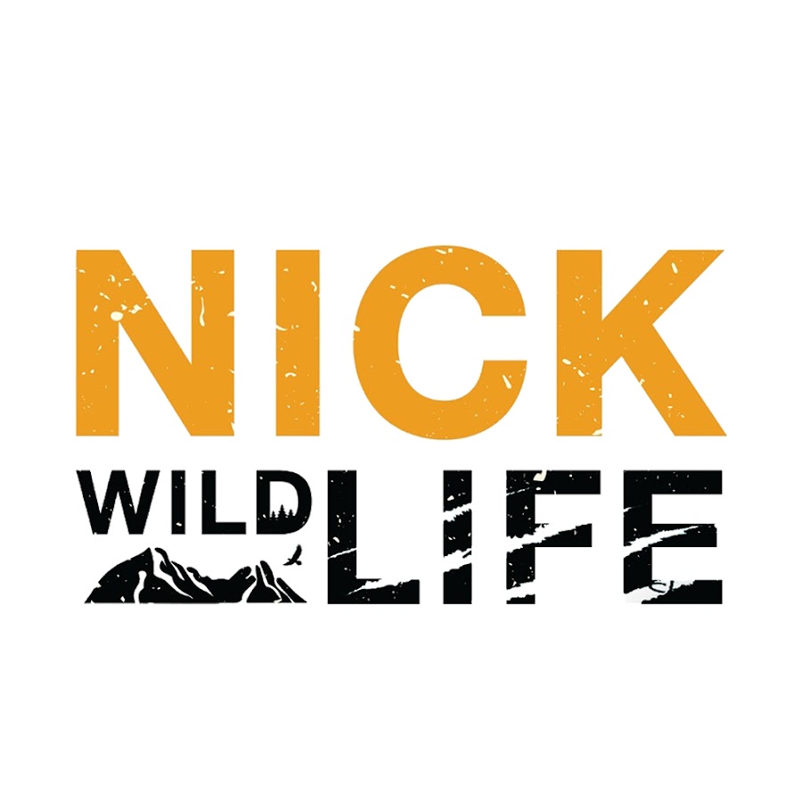 Nick Chomngam YouTube 频道头像