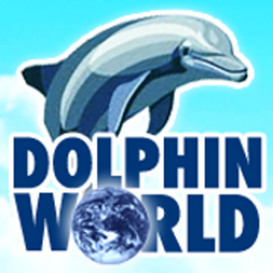 Dolphin World YouTube channel avatar