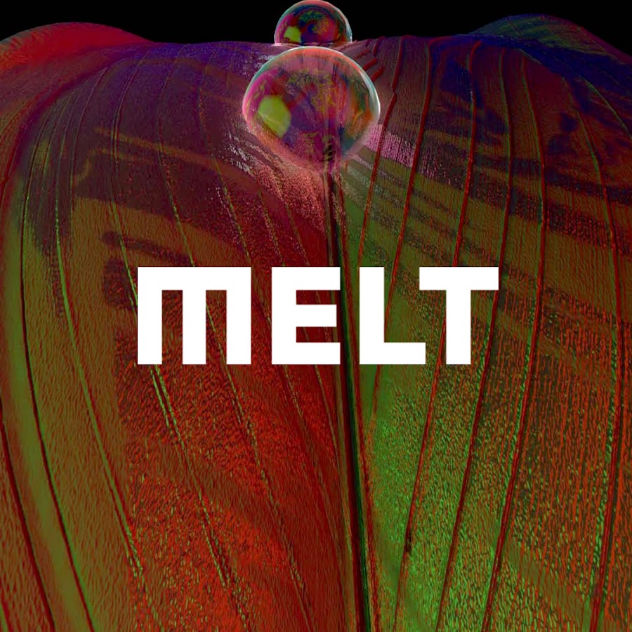 Melt Festival यूट्यूब चैनल अवतार