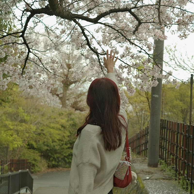 mia ong - 網紅的藏寶箱 