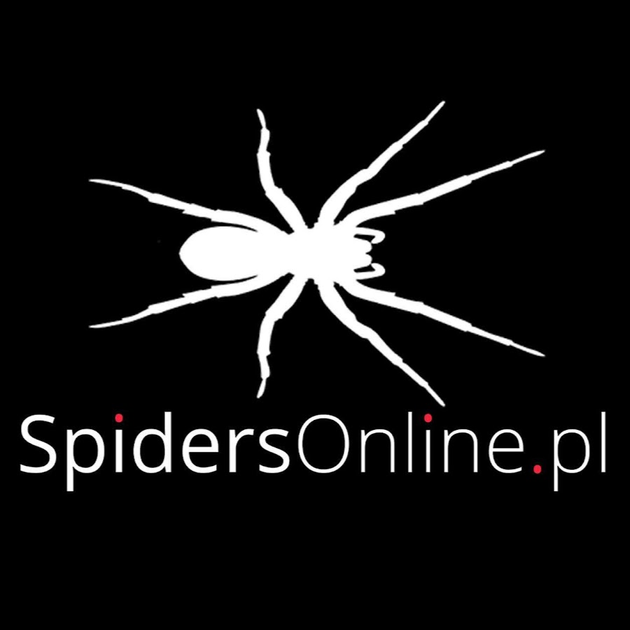 SpidersOnlinePL