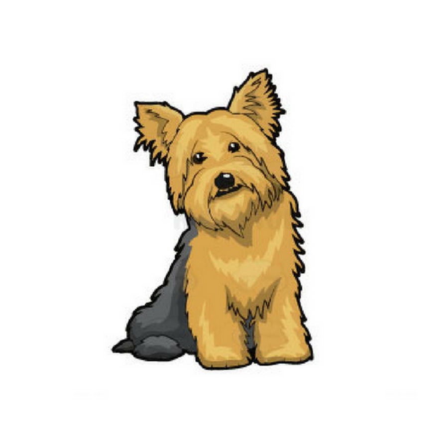 Natural Dog Owner YouTube channel avatar