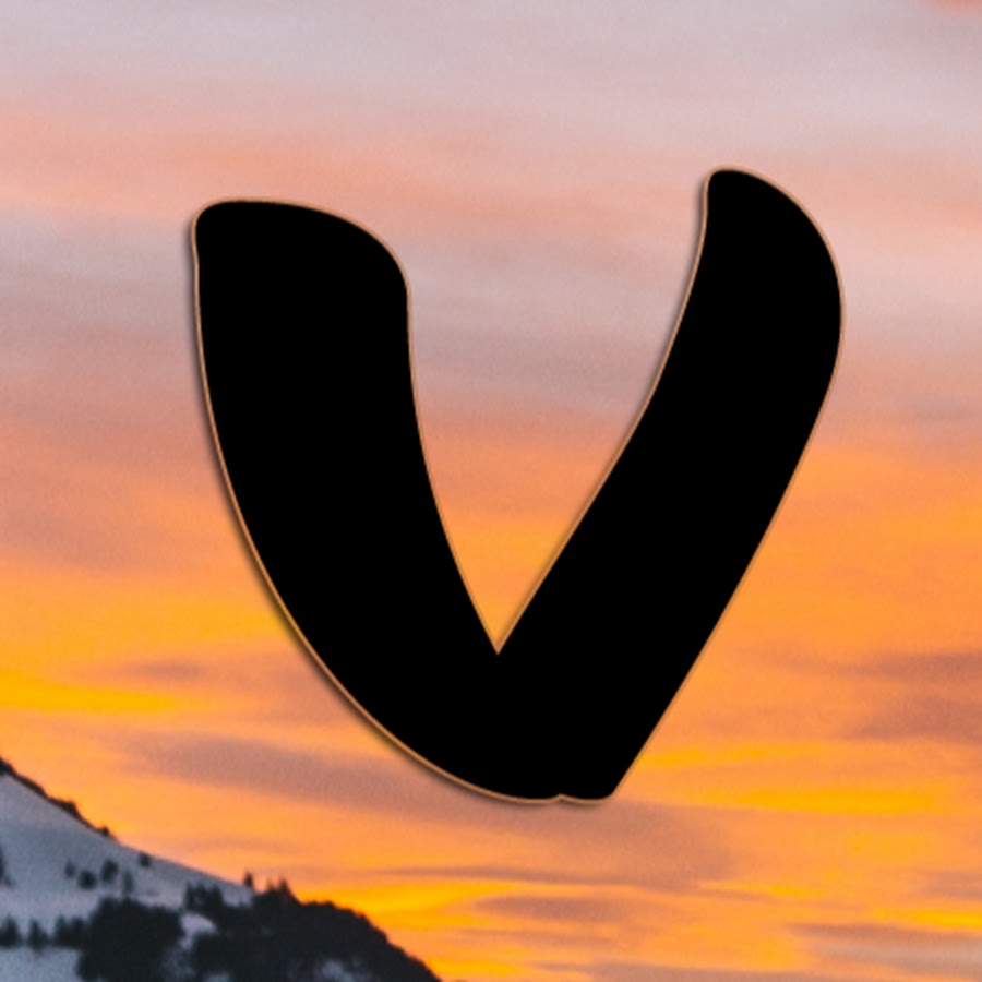 VizVid YouTube 频道头像