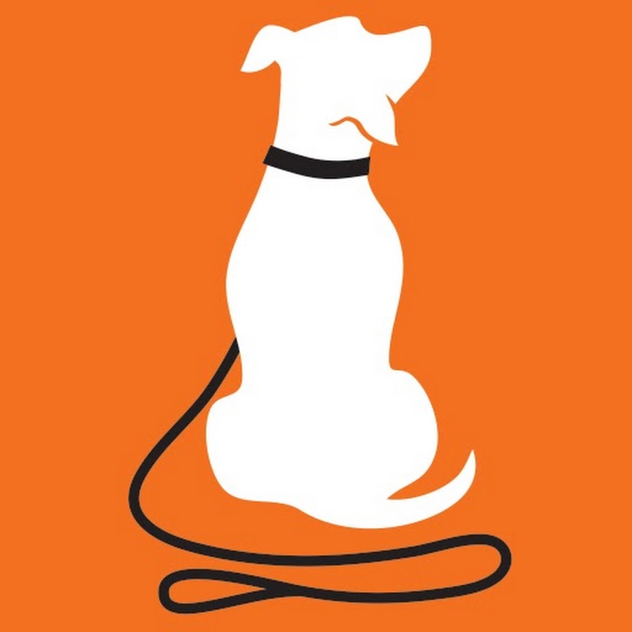 Rescue Dogs 101 YouTube channel avatar