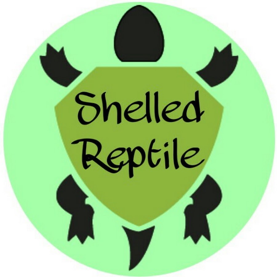 Shelled Reptile Avatar canale YouTube 