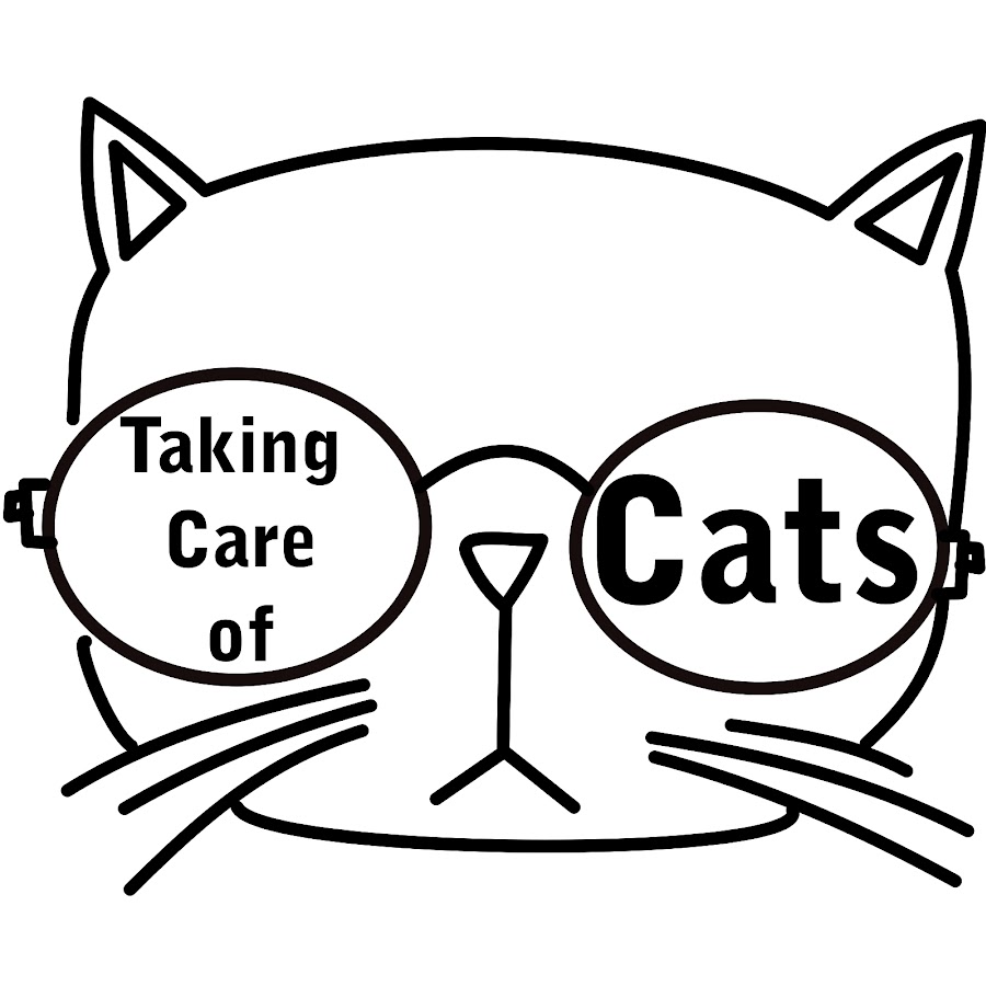 Taking Care of Cats YouTube kanalı avatarı