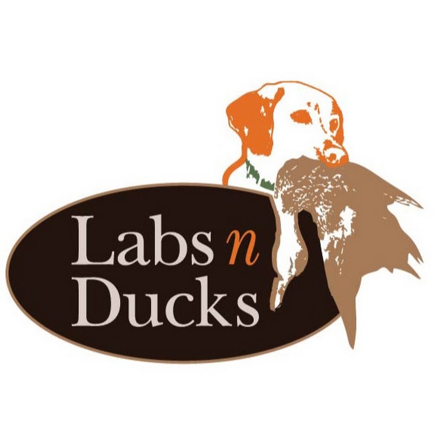 LabsnDucks YouTube channel avatar