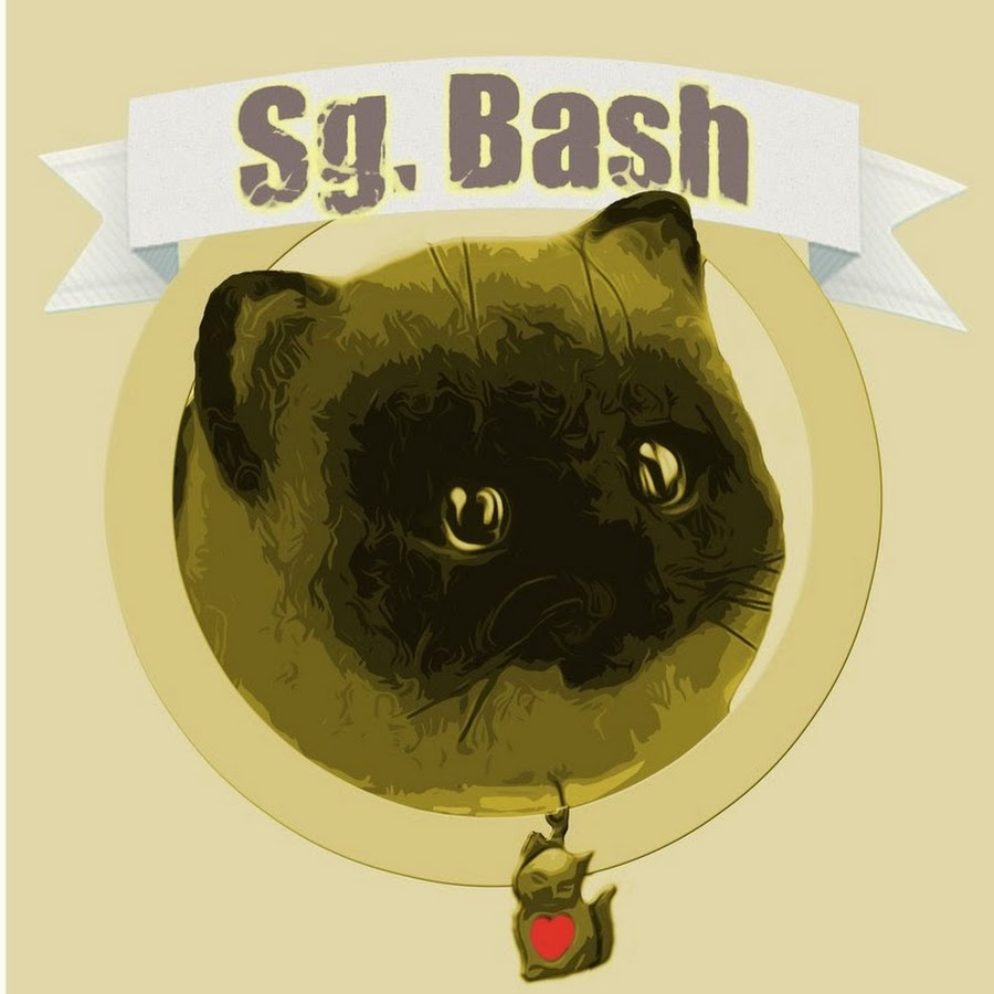 Sg. Bash RYTP YouTube channel avatar
