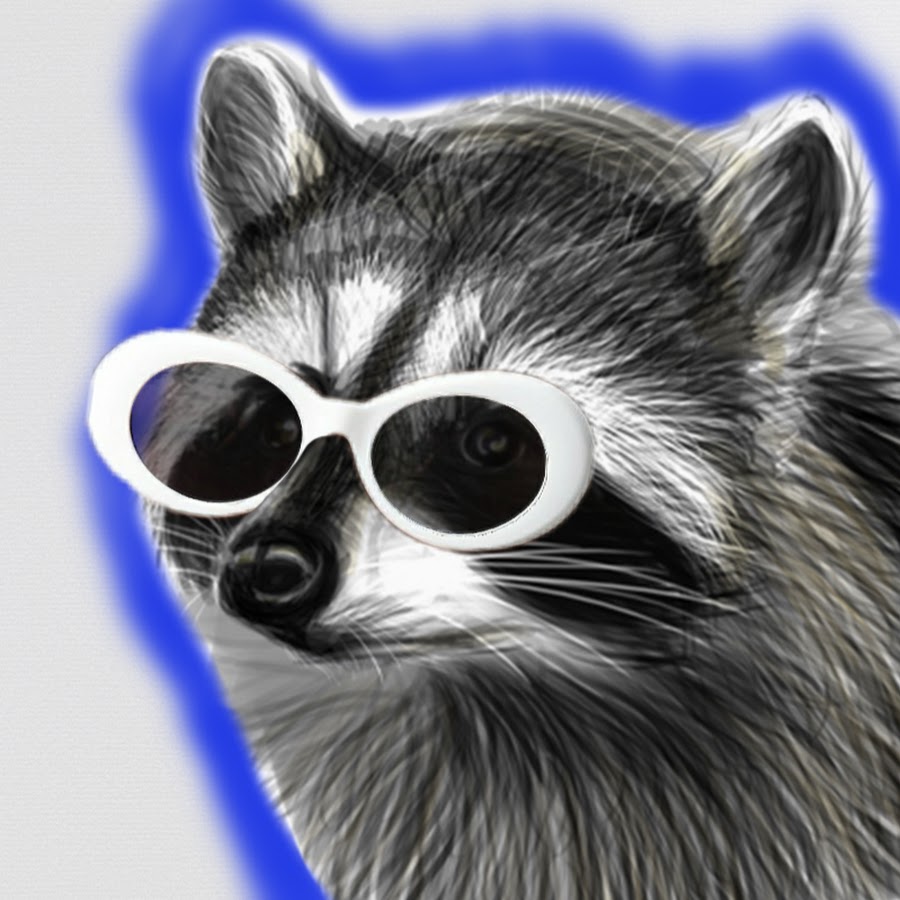 RaccoonEggs YouTube channel avatar