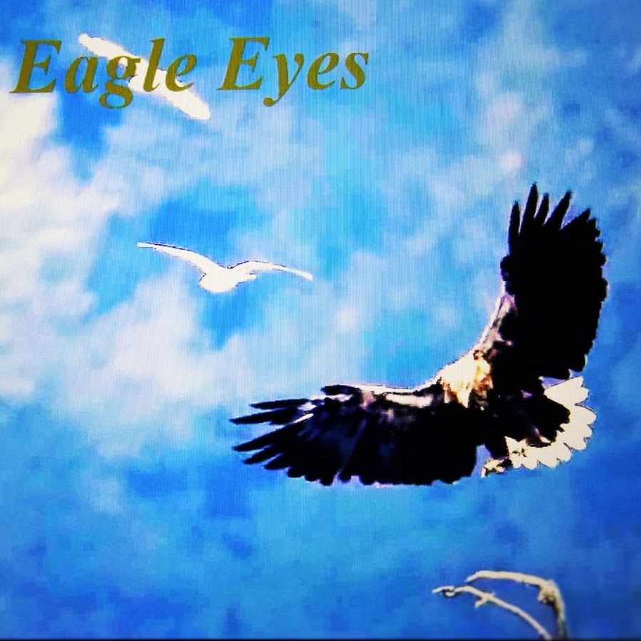 Eagle Eyes رمز قناة اليوتيوب