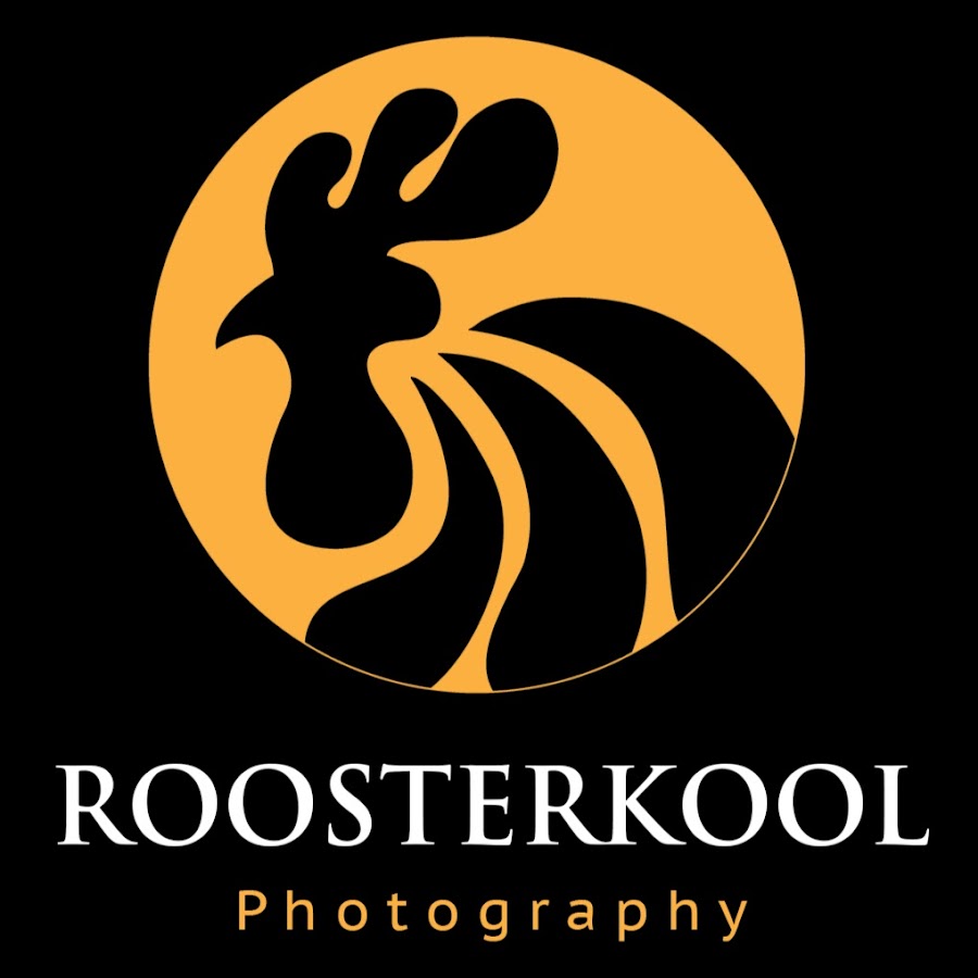 RooSter_KooL Media YouTube kanalı avatarı