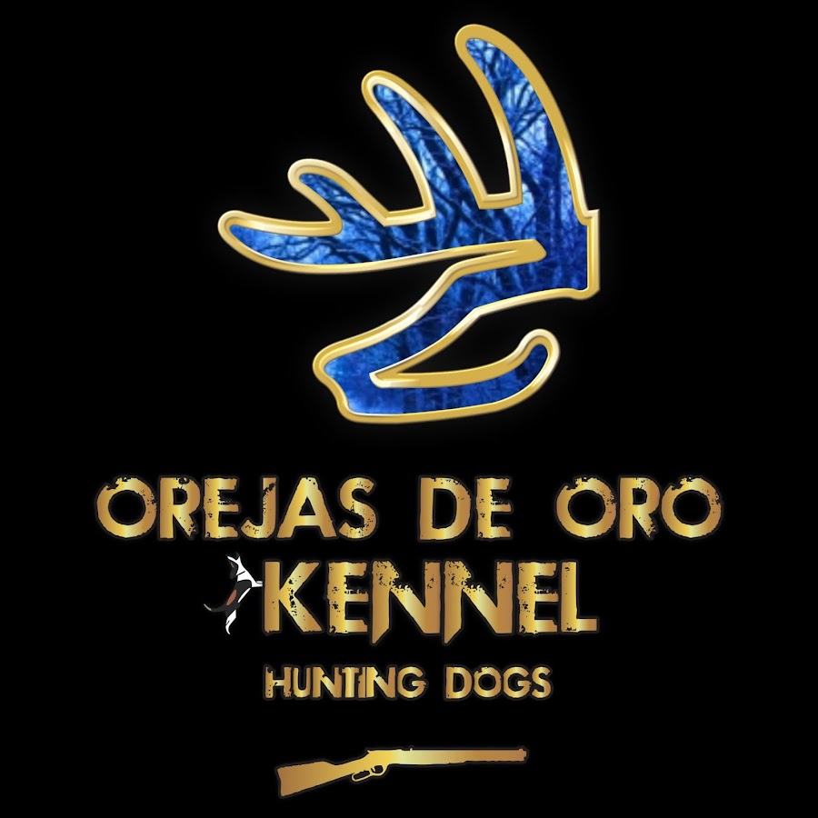 Orejas de Oro Kennel's Awatar kanału YouTube