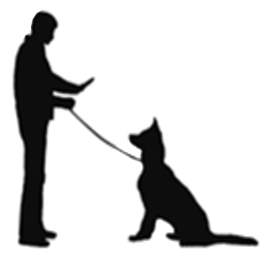 Como Treinar um Cachorro YouTube kanalı avatarı