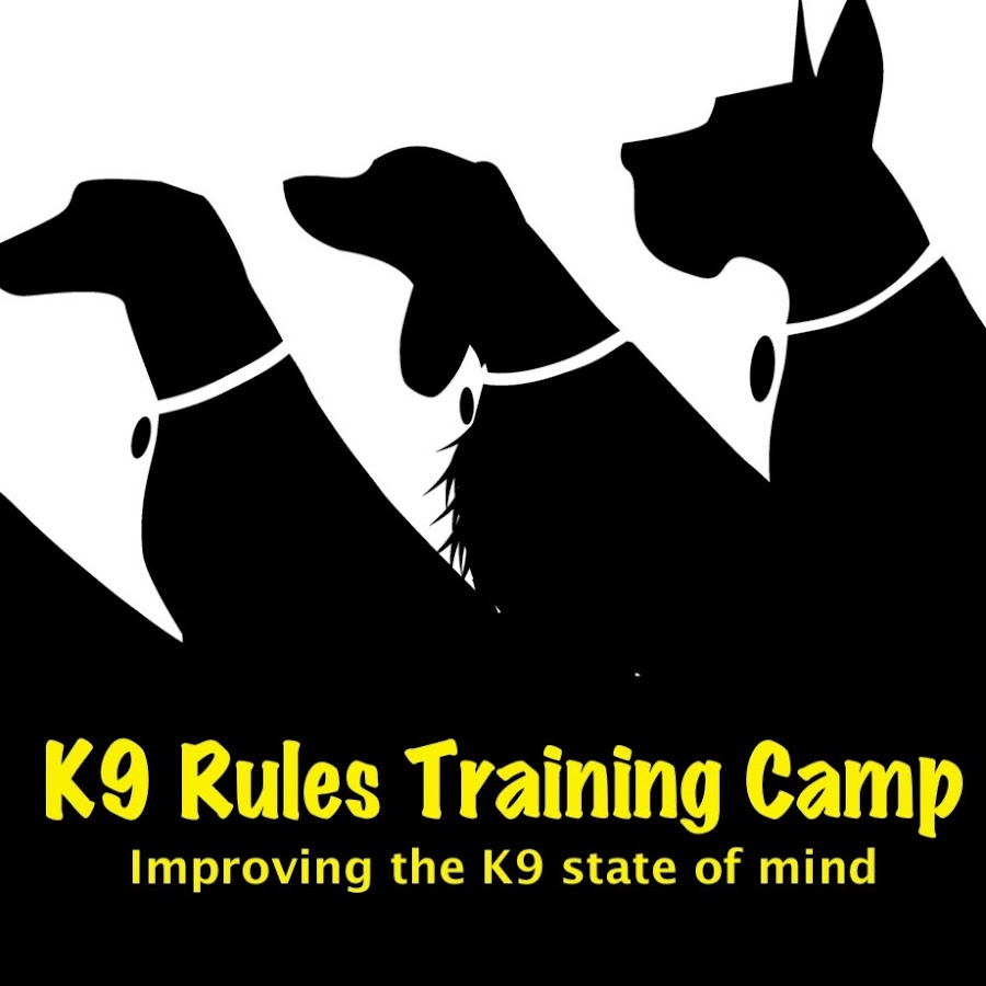 K9 Rules & Training Camp Dog Training Florida ইউটিউব চ্যানেল অ্যাভাটার