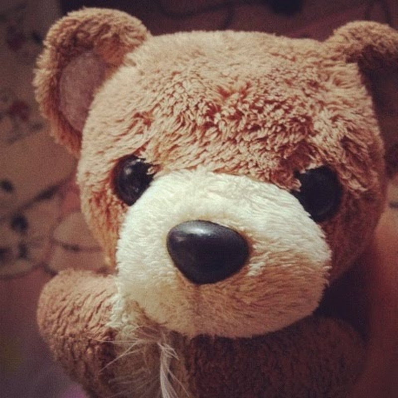 kumanokomembers - 網紅的藏寶箱 