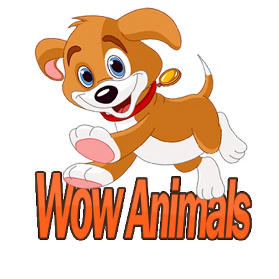 Wow Animals رمز قناة اليوتيوب
