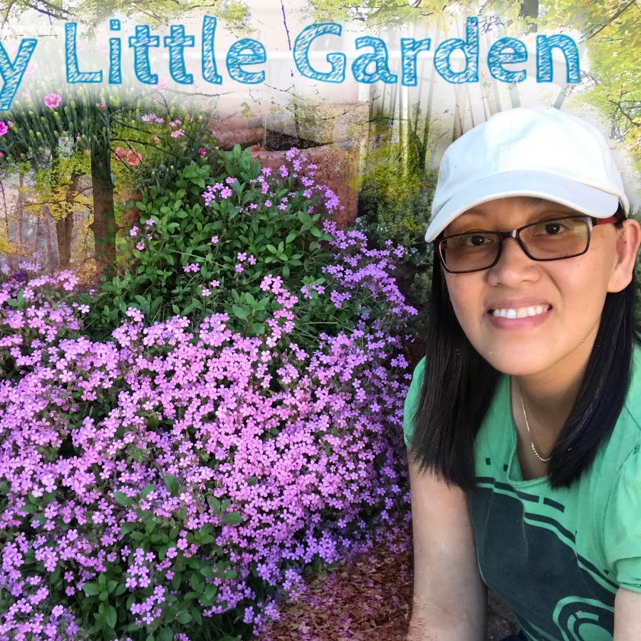 Cooking, Gardening and Traveling with Luchelle YouTube channel avatar