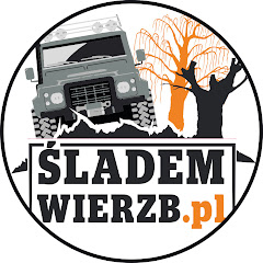Śladem Wierzb