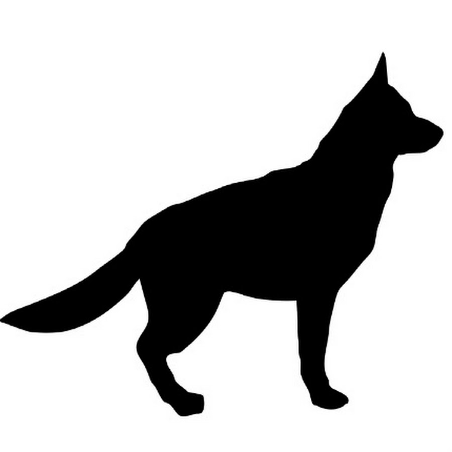 Dog Breeds YouTube channel avatar