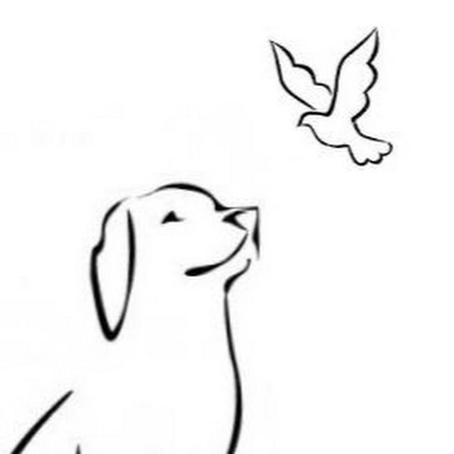 Freedom Dog Rescue Avatar de chaîne YouTube