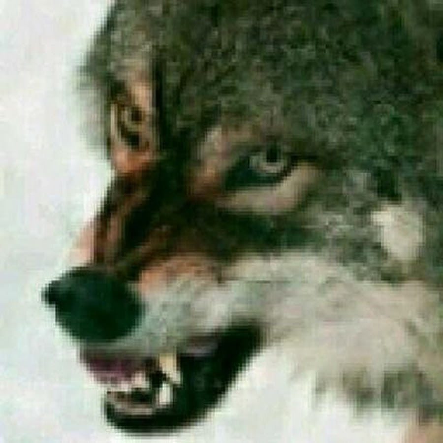thehunterwolf 666 YouTube channel avatar