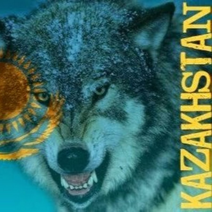 WOLF Kz YouTube channel avatar