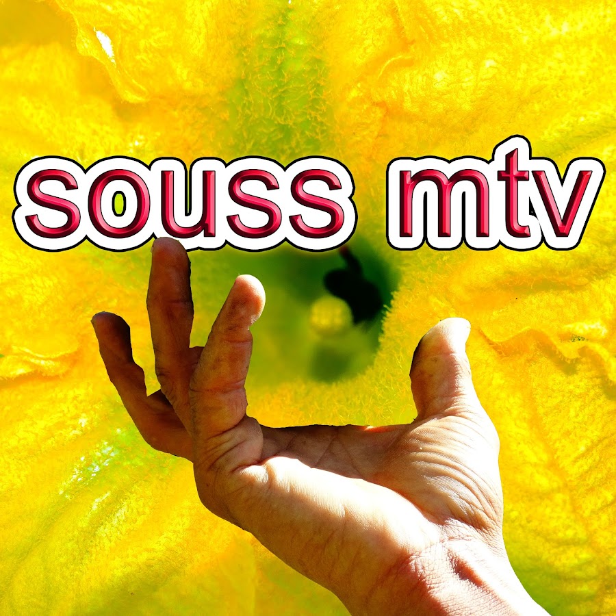 sousS mtv YouTube-Kanal-Avatar