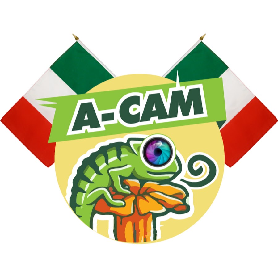 A-CAM Italia YouTube channel avatar