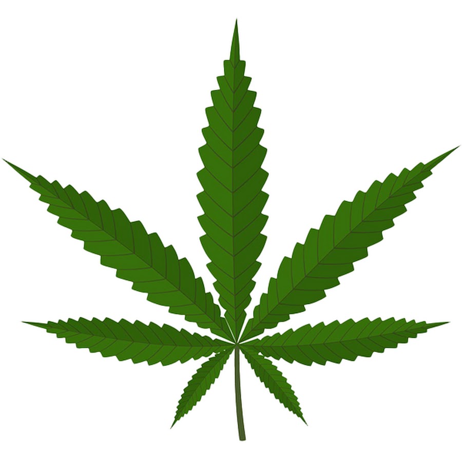大麻好きによる大麻好きのためのyoutuber紹介 4jp Net