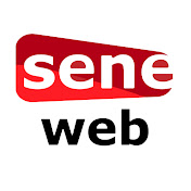 Seneweb TV net worth