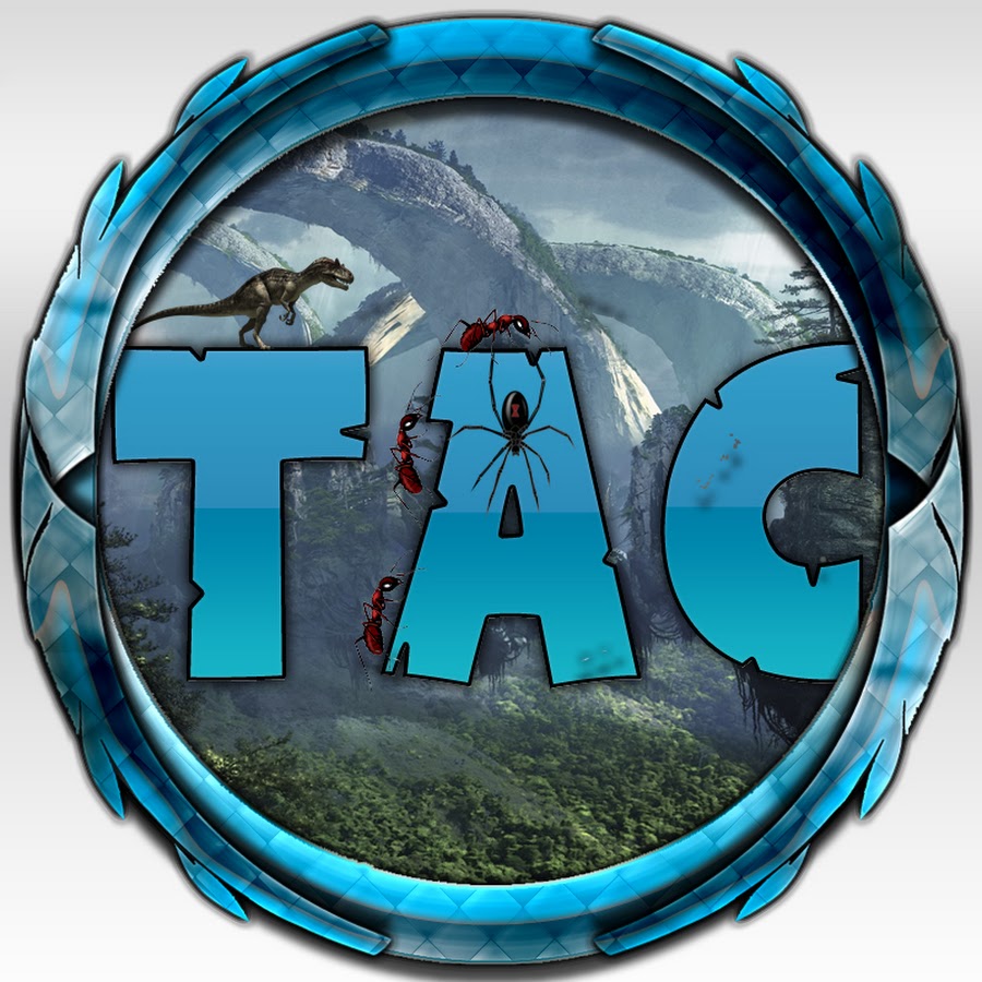 TAC YouTube channel avatar