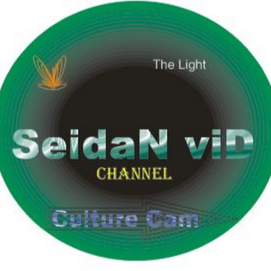 SeidaN viD YouTube channel avatar