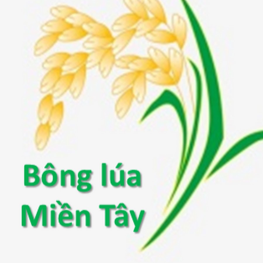 KHUYÃŠN PHÆ¯Æ NG TV YouTube channel avatar