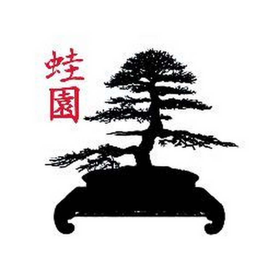 Escuela de Bonsai Online YouTube channel avatar
