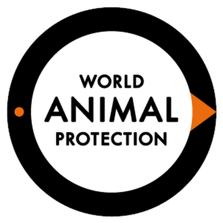 World Animal Protection UK Awatar kanału YouTube