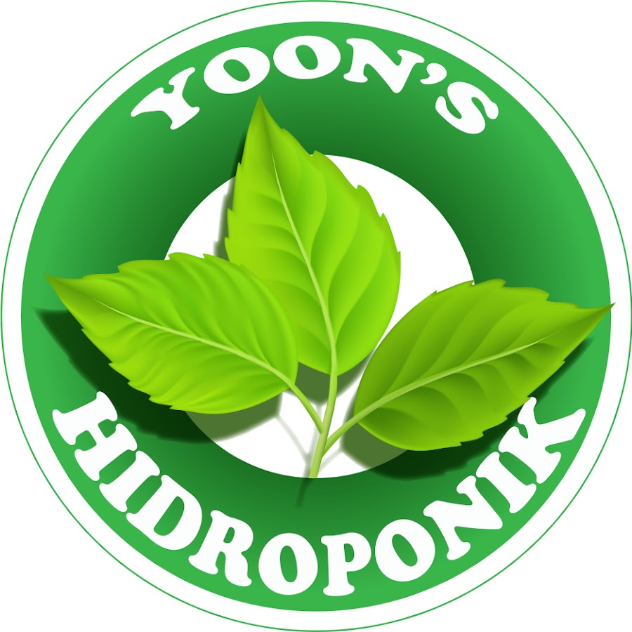 YOON Hidroponik رمز قناة اليوتيوب