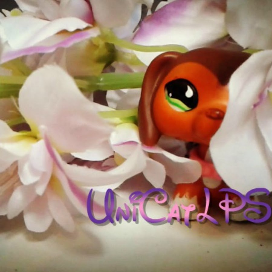 UniCat LPS YouTube channel avatar