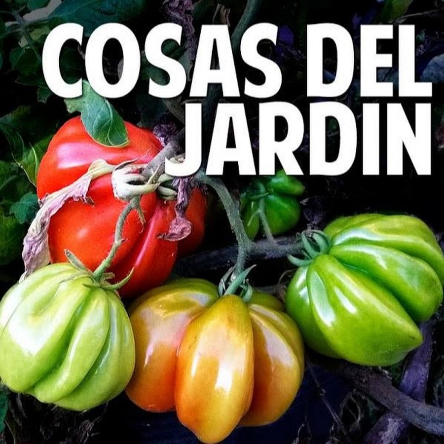 Cosas del Jardin ইউটিউব চ্যানেল অ্যাভাটার
