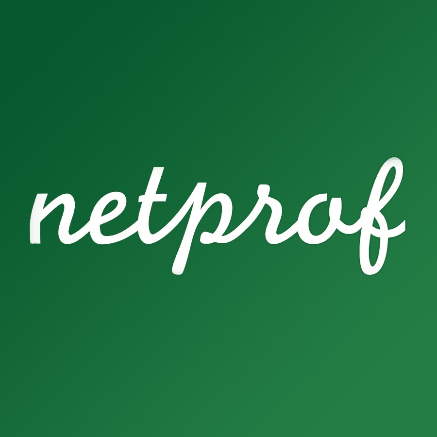 netprof YouTube channel avatar