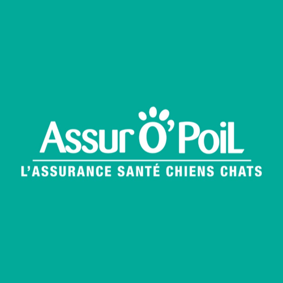 Assur O'Poil YouTube channel avatar