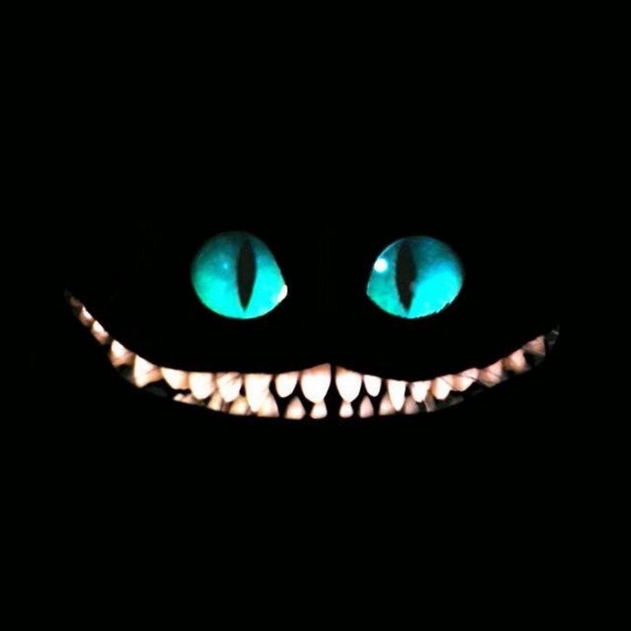 Le Chat D Alice Youtube